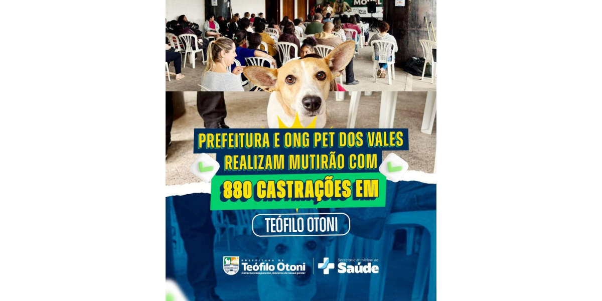 Mutirão de castração amplia atendimento a cães e gatos em Teófilo Otoni