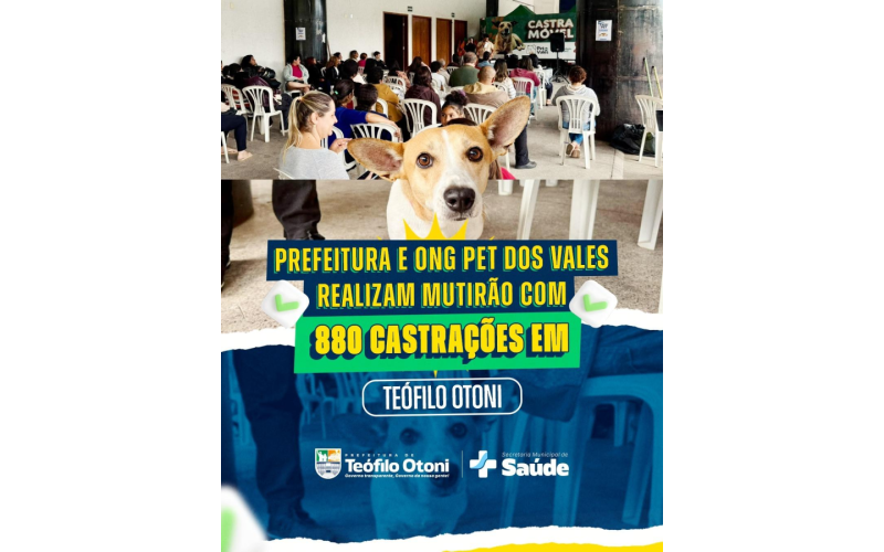 Mutirão de castração amplia atendimento a cães e gatos em Teófilo Otoni