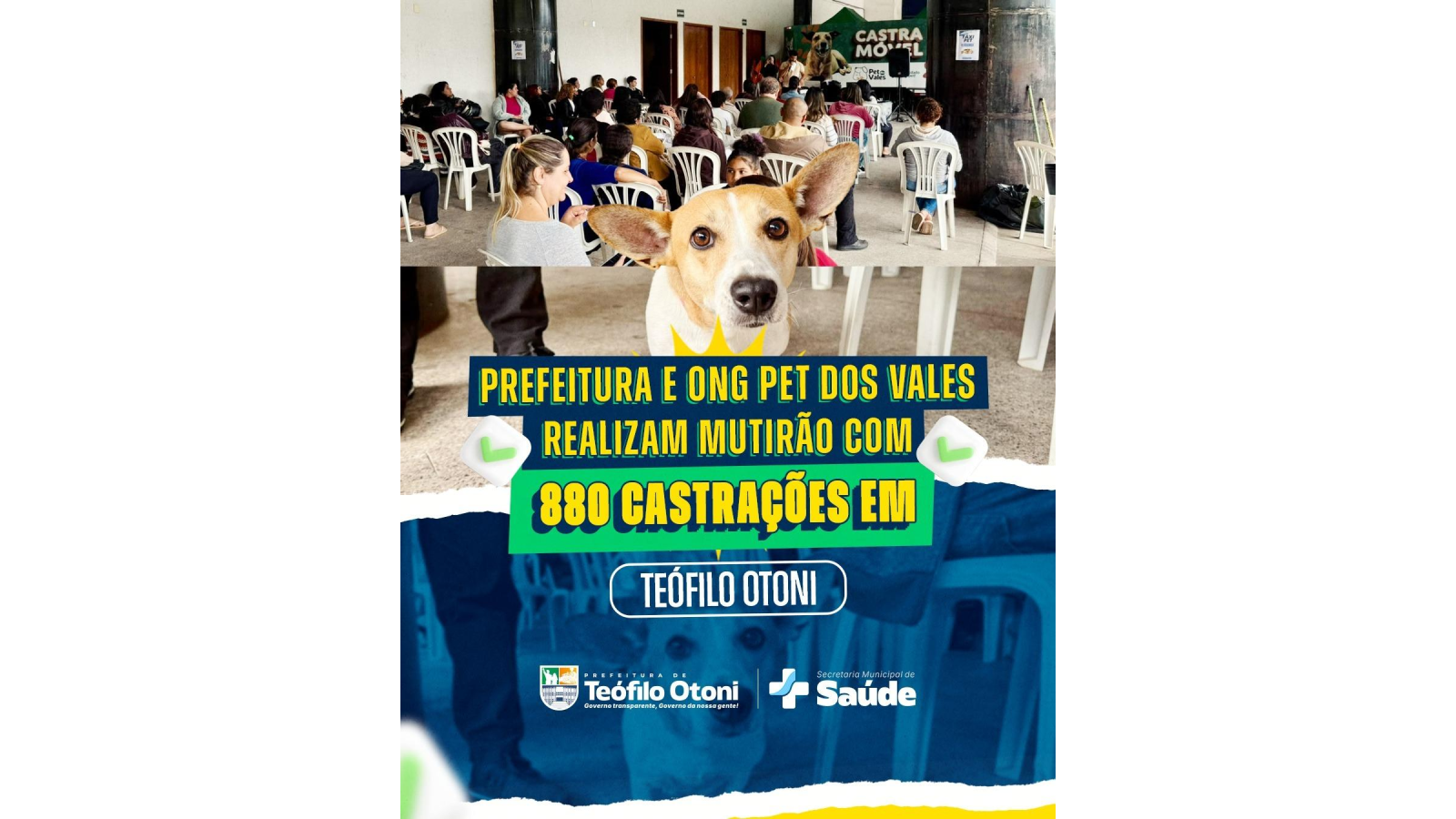 Mutirão de castração amplia atendimento a cães e gatos em Teófilo Otoni